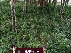 景点-望江楼公园