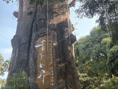 -青青世界