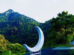 -南丹山森林王国