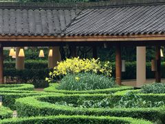 -青城山六善酒店·紫氣園中餐厅