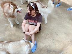-TrueLove @ Neverland (Husky Cafe)