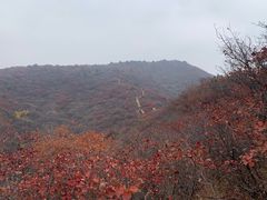 -水峪民俗村