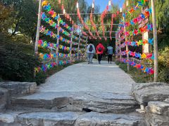 -北京西山国家森林公园