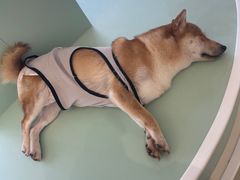 -怪兽屋·羊驼·猫咖·狗咖(俊华广场店)