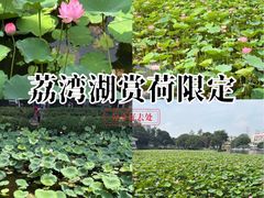-荔湾湖公园
