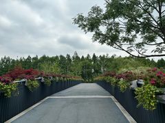 -昆山城市生态森林公园