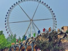 -石家庄市动物园