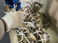 -黄记大闸蟹专卖店·活蟹·醉蟹