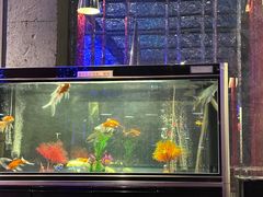 -湖锦酒楼·30年经典湖北菜(沌口店)