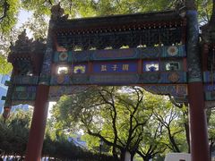 -北京国子监胡同
