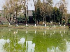 -桂湖森林公园