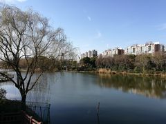 -新江湾城公园