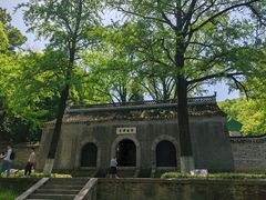 -镇江市南山风景名胜区竹林景区