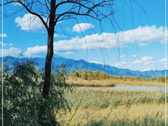 -野鸭湖国家湿地公园