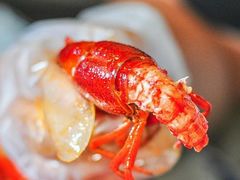 -松哥油焖大虾(皇岗一店)