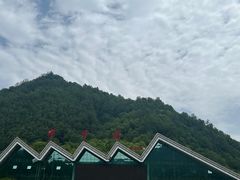 -牛背梁国家森林公园