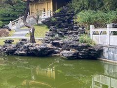 -深圳国际园林花卉博览园