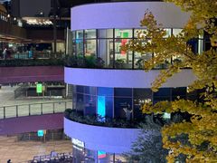 -瑞虹新天地月亮湾