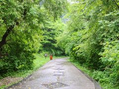 -首阳山景区