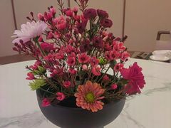 -觅唐MITONG(鸟巢店)