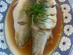 清蒸鲻鱼-西湖春天•老字号杭州菜(百汇店)