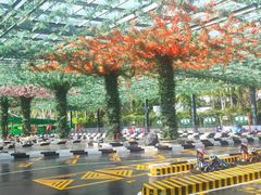 -海南铜鼓岭景区