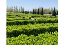 -北京园博大酒店