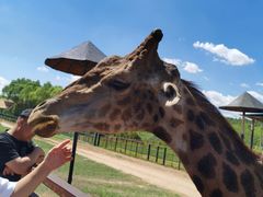 -鄂尔多斯野生动物园