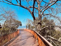 -沙县小吃文化城