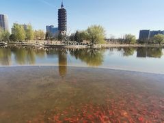 -西海子公园