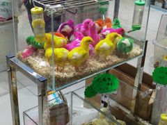 -三旗百汇商品城