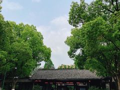 -西溪国家湿地公园