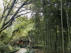 -兰亭风景区