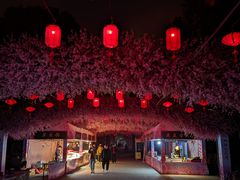 -南汇桃花村