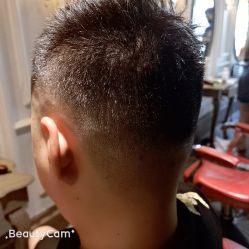 点击看大图 -金棕榈