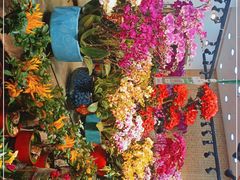 -双季花艺园艺市场(浦东店)