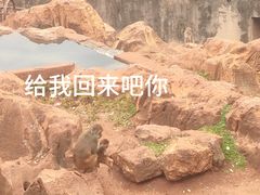 -昆明动物园