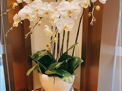 -Peet's Coffee皮爷咖啡(豫园店)