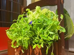 -牛村来人潮汕牛肉火锅(西单店)