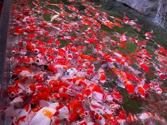 -苏州海洋馆