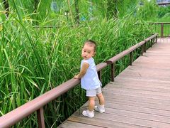 -西海子公园