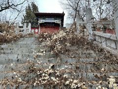 -终南山古楼观历史文化景区