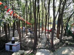 -龙湖东院农庄(乡间小路店)