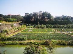 -南国桃园旅游度假区