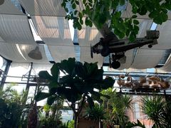 -北马山庄植趣咖啡