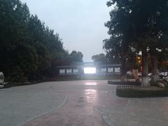 -合肥滨湖国家森林公园