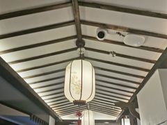 -金莲葱饼
