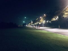 -艾溪湖湿地公园