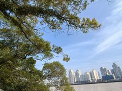 -江心屿景区