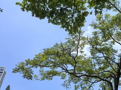 -深圳国际园林花卉博览园